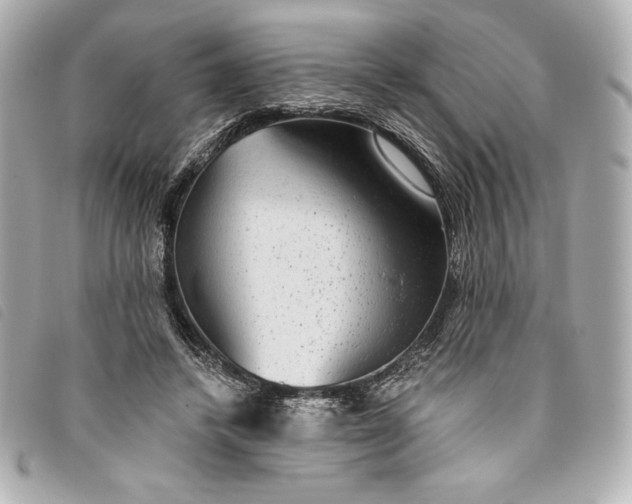 X0000093480448200710261042