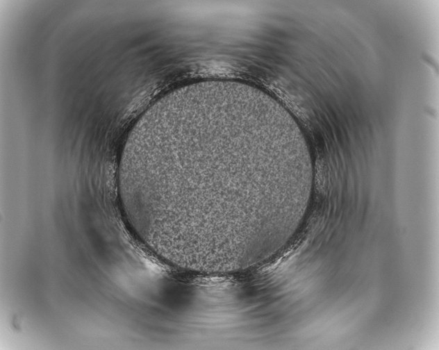 X0000093480449200710261042