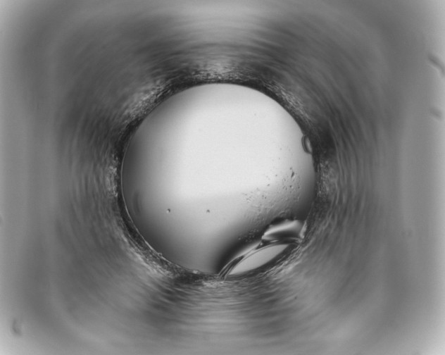X0000093480450200710261042