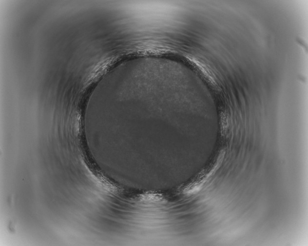 X0000093480451200710261042