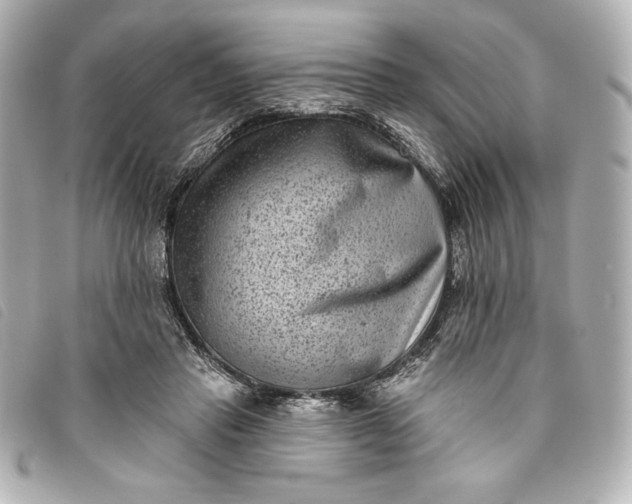 X0000093480453200710261042