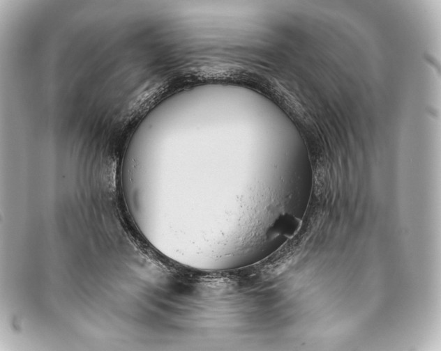 X0000093480454200710261042