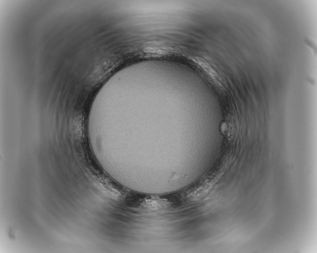 X0000093480455200710261042