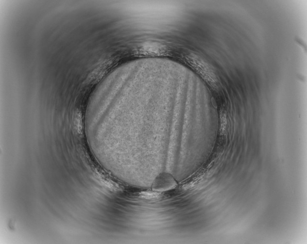 X0000093480457200710261042