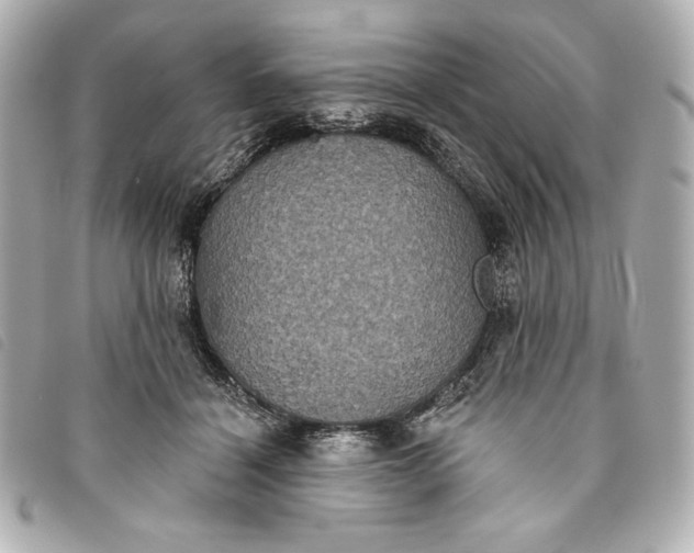 X0000093480460200710261042