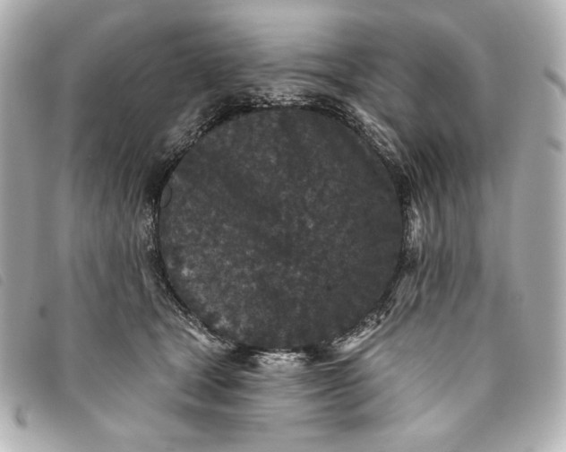 X0000093480465200710261042