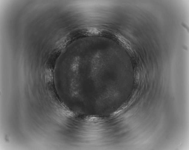 X0000093480467200710261042