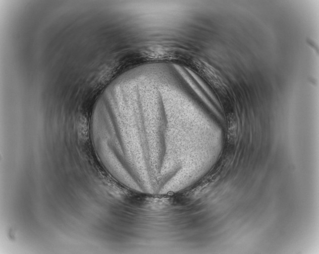 X0000093480469200710261042