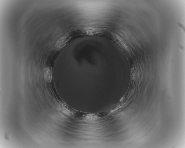 X0000093480471200710261042