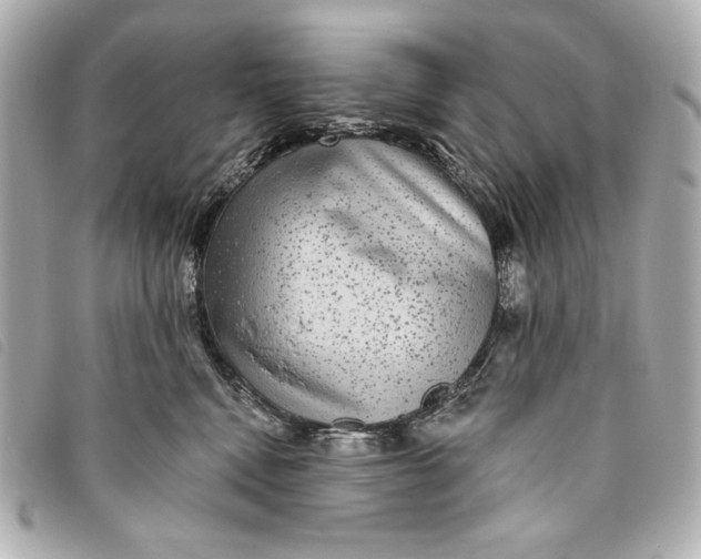 X0000093480472200710261042