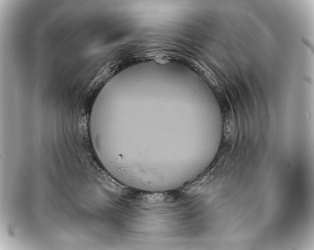 X0000093480473200710261042