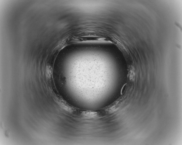 X0000093480476200710261042