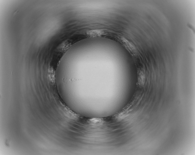 X0000093480477200710261042