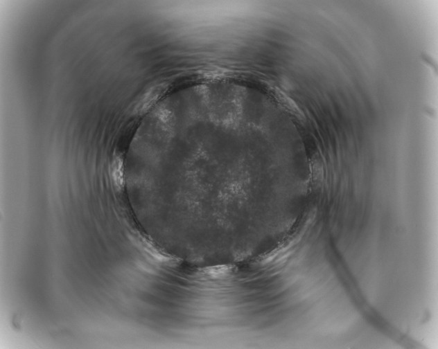 X0000093480479200710261042