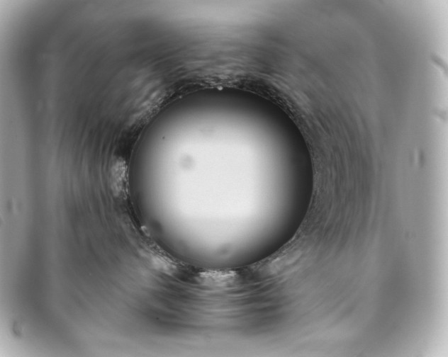 X0000093480480200710261042