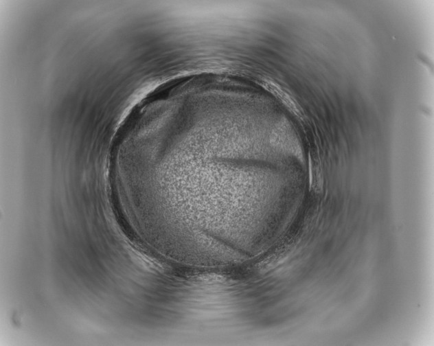 X0000093480483200710261041