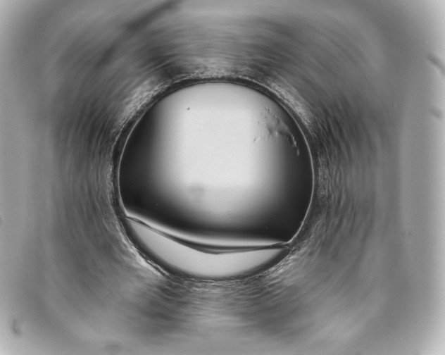 X0000093480485200710261041