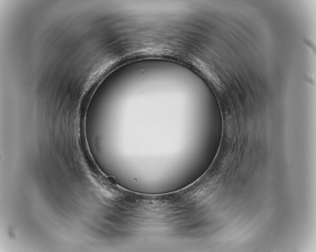 X0000093480486200710261041