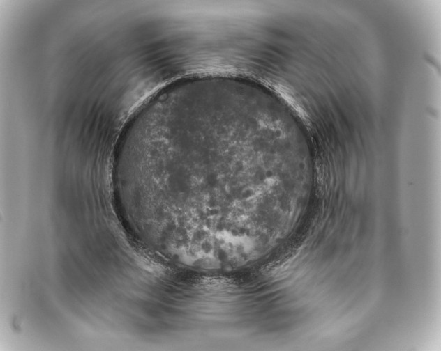 X0000093480487200710261041