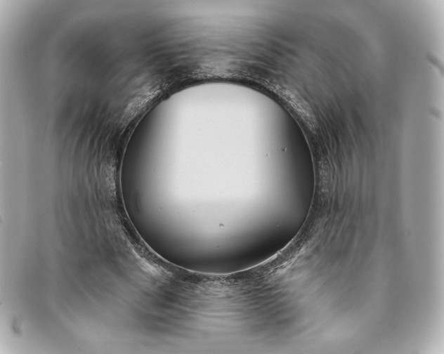 X0000093480489200710261041