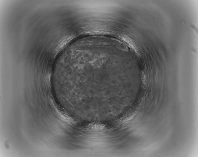 X0000093480491200710261041