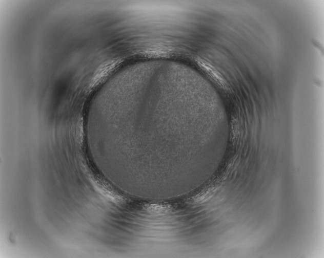 X0000093480494200710261041