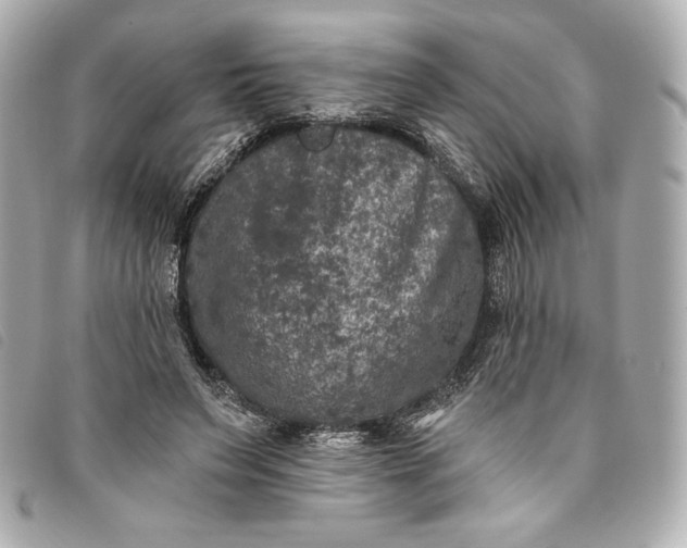 X0000093480495200710261041