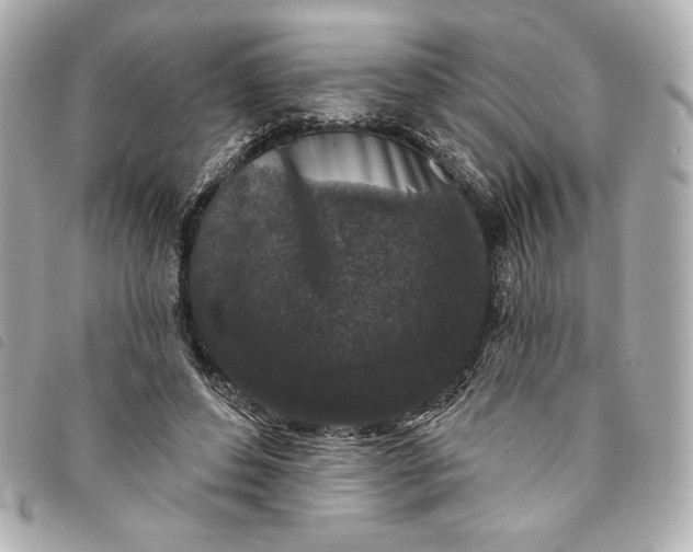 X0000093480496200710261041