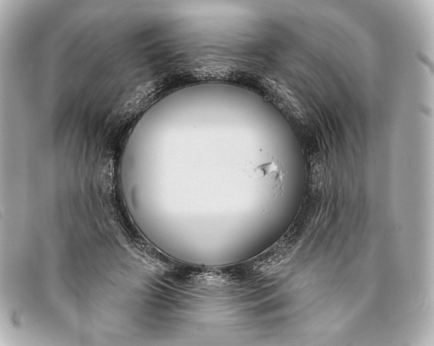 X0000093480498200710261041
