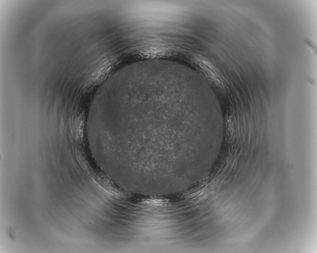 X0000093480499200710261041