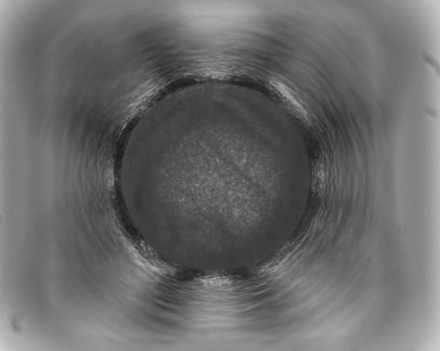 X0000093480500200710261041