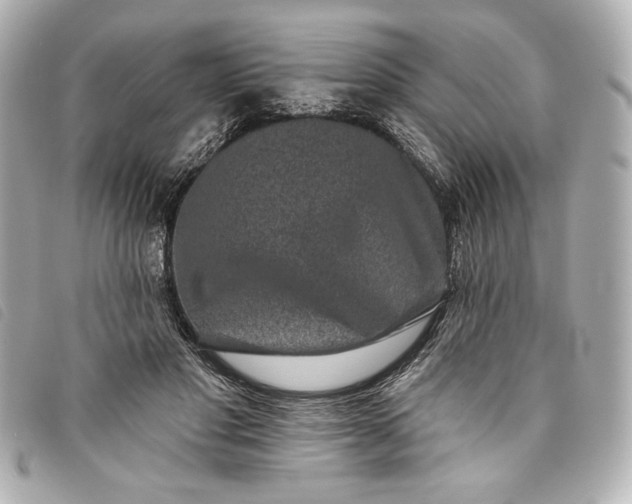 X0000093480501200710261041