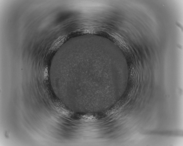 X0000093480502200710261041