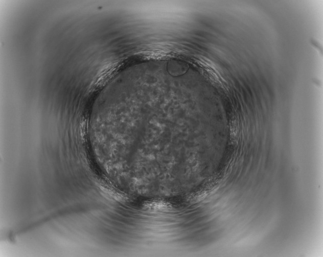 X0000093480503200710261041