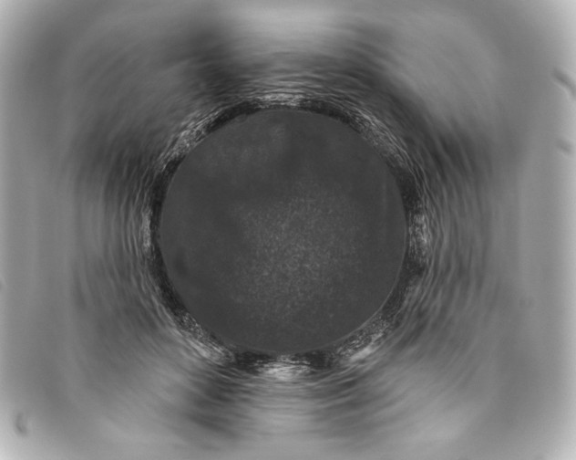 X0000093480504200710261041