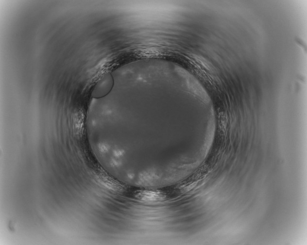 X0000093480507200710261041
