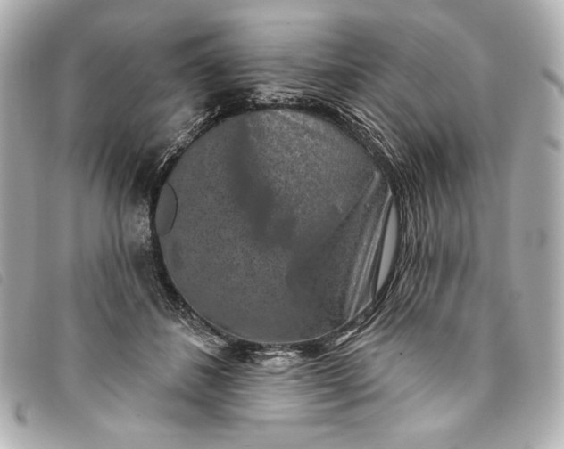 X0000093480508200710261041