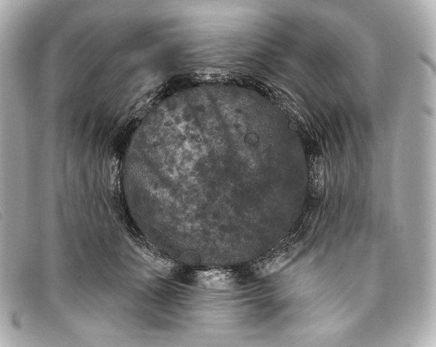 X0000093480511200710261041