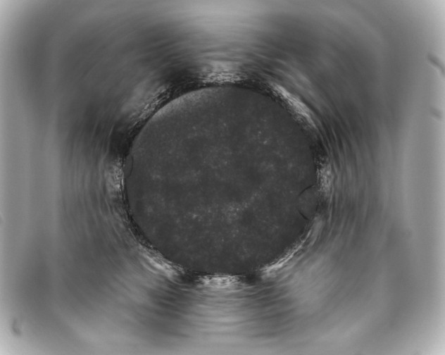 X0000093480517200710261041