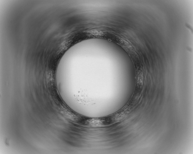 X0000093480518200710261041