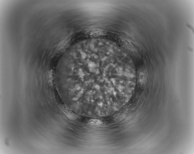 X0000093480519200710261041