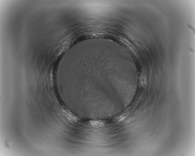 X0000093480520200710261041