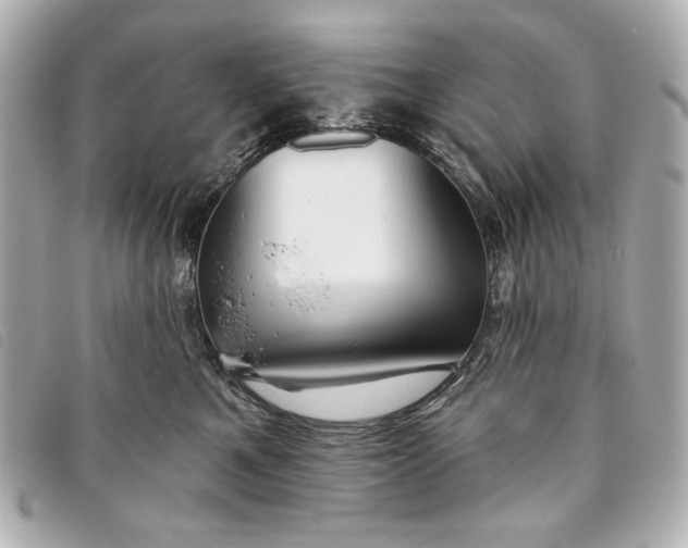 X0000093480521200710261041