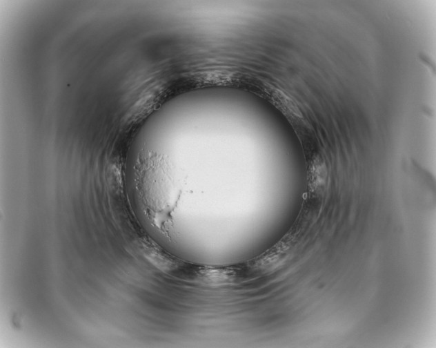 X0000093480522200710261041