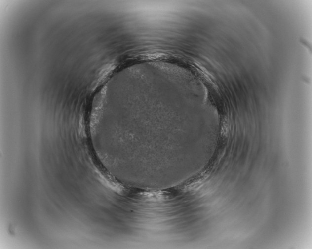 X0000093480524200710261041