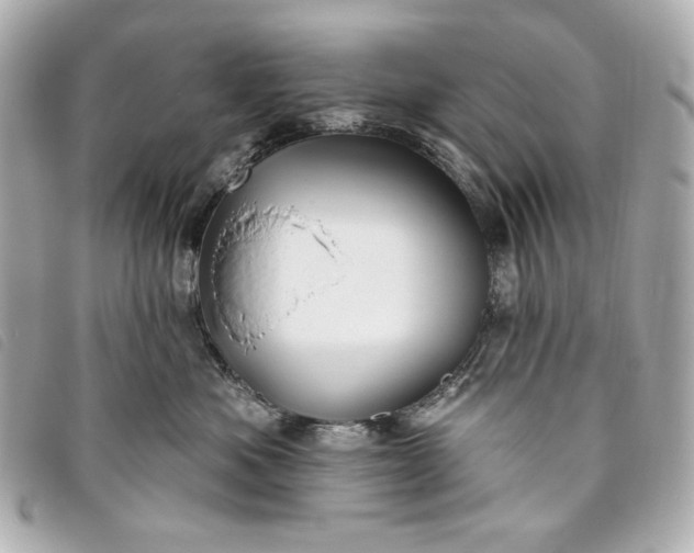 X0000093480525200710261041