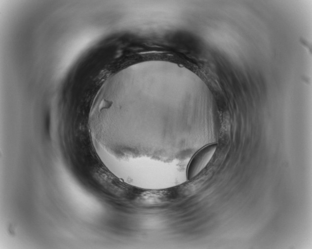X0000093480526200710261041