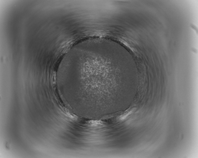 X0000093480528200710261041