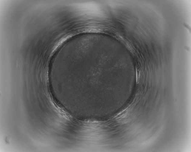 X0000093480531200710261040