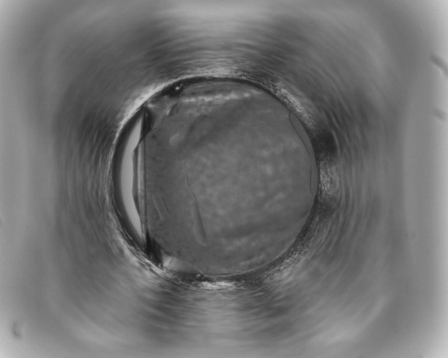 X0000093480532200710261040